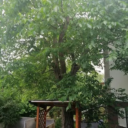 Atelieo Beim Nussbaum * Ternitz