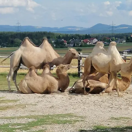 Apartment Atelieo Beim Nussbaum Ternitz