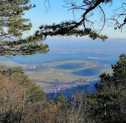 Atelieo Beim Nussbaum Apartamento Ternitz