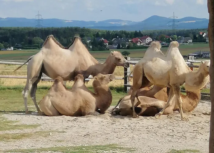 Apartamento Atelieo Beim Nussbaum Ternitz